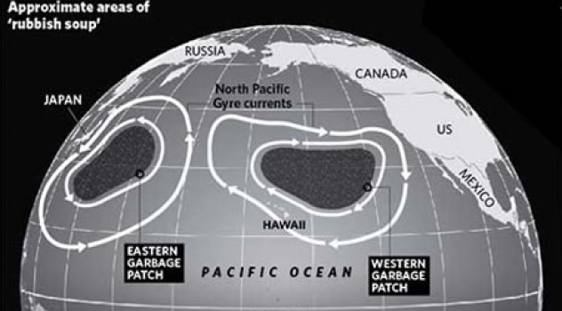 I detriti dello tsunami giapponese arriveranno in America?