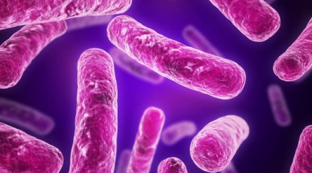 Creato il primo organismo con DNA artificiale, non esistente in natura
