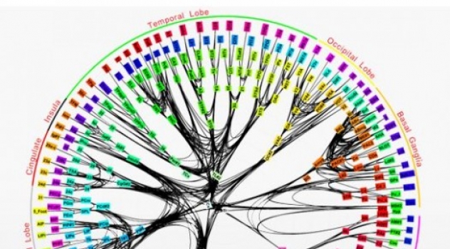 [aggiornato]L'alba di Skynet? L'IBM annuncia di aver creato un chip che emula il cervello unmano